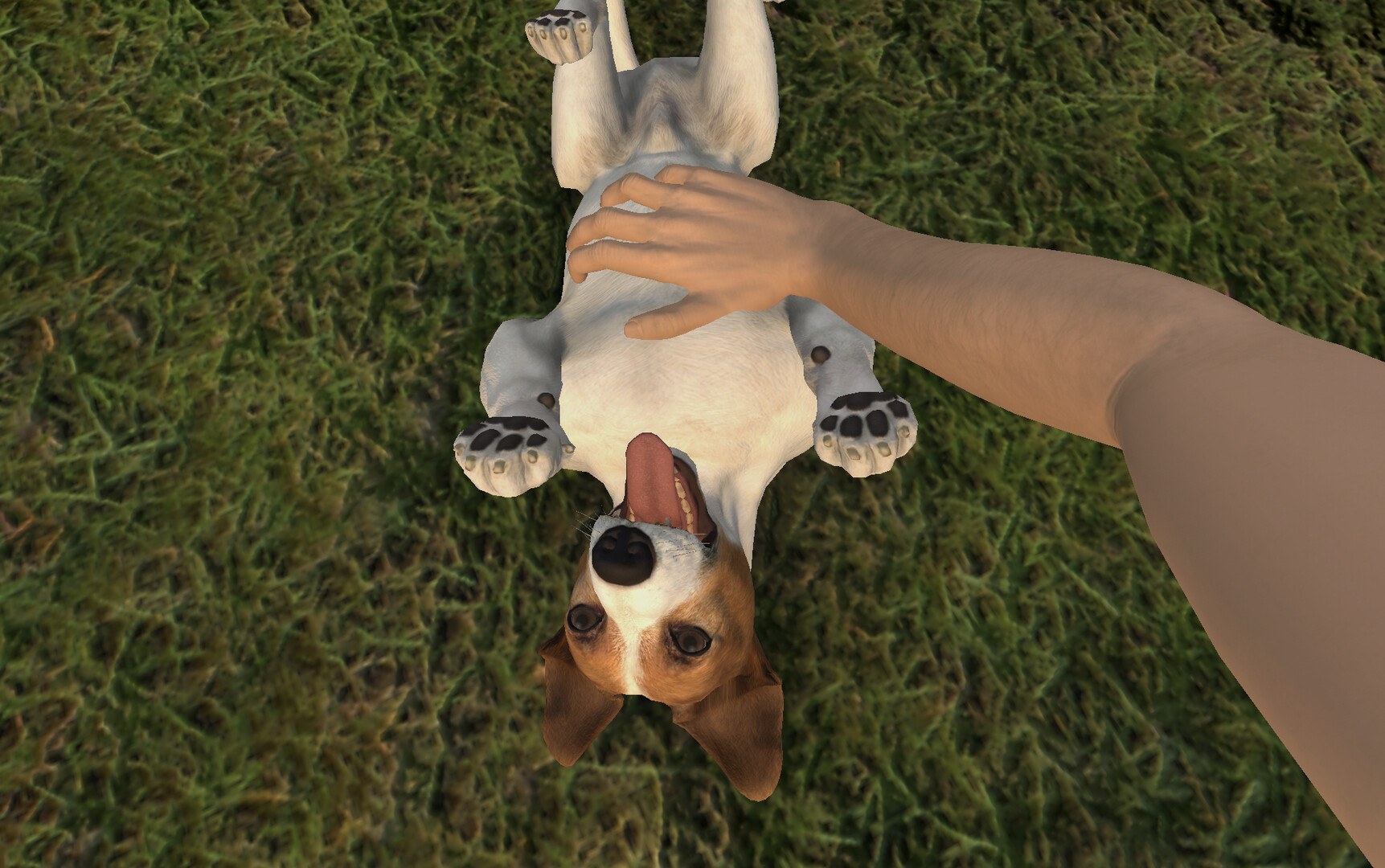 Скриншот 16: Pets Hotel