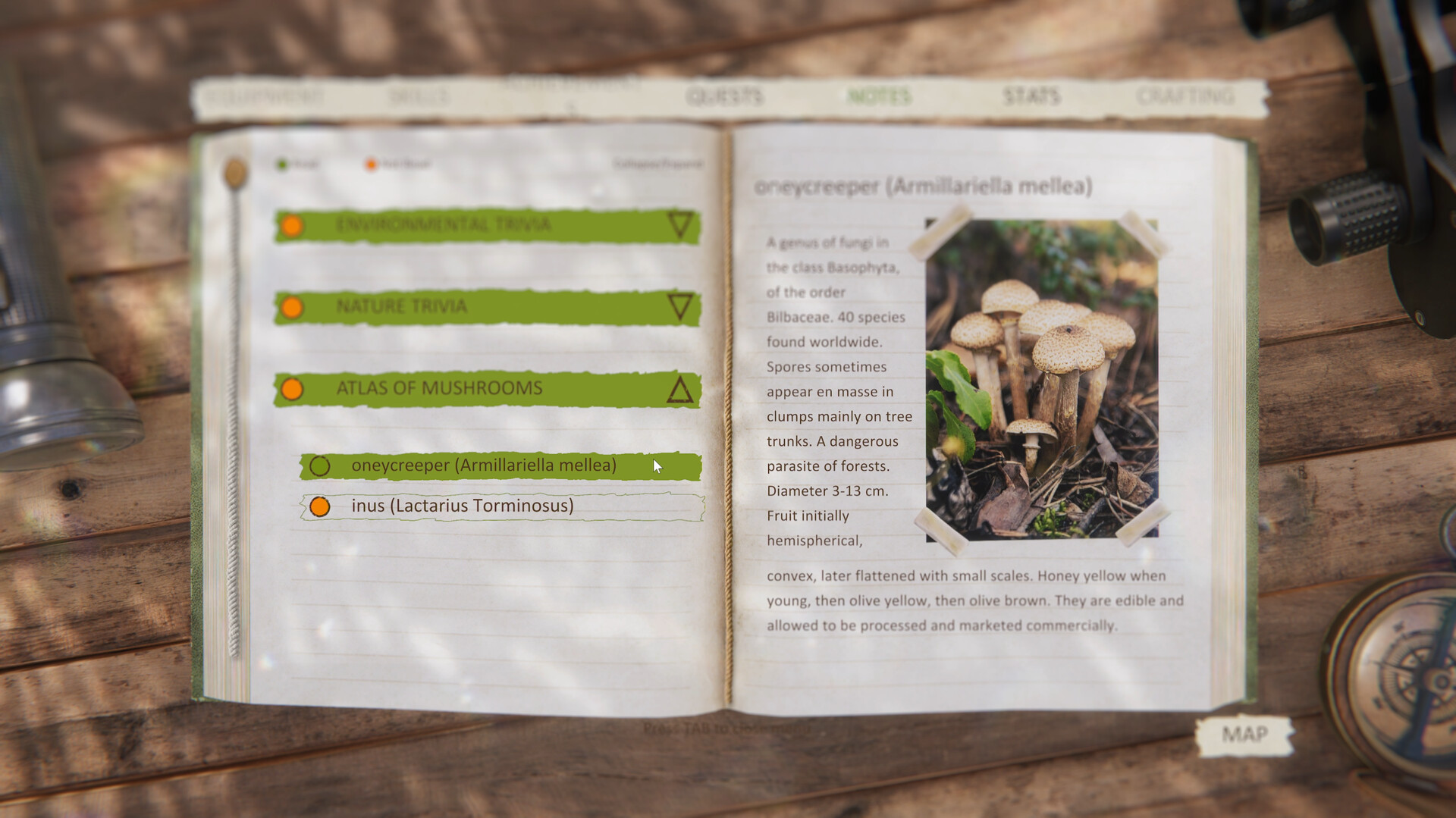 Скриншот 20: Forest Ranger Simulator