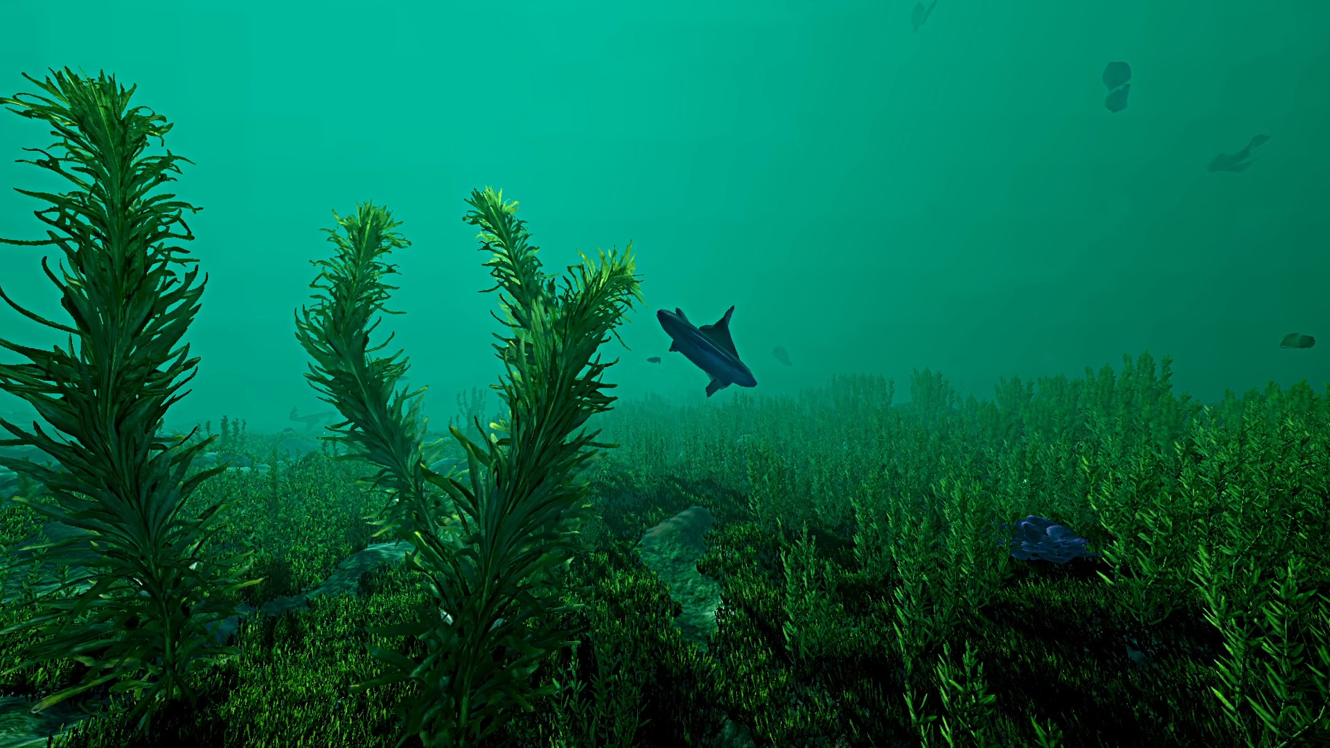 Скриншот 11: Ecosystem