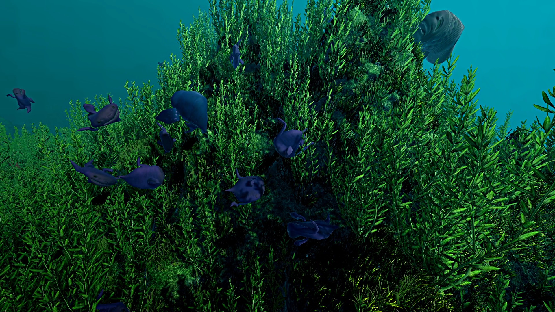 Скриншот: Ecosystem