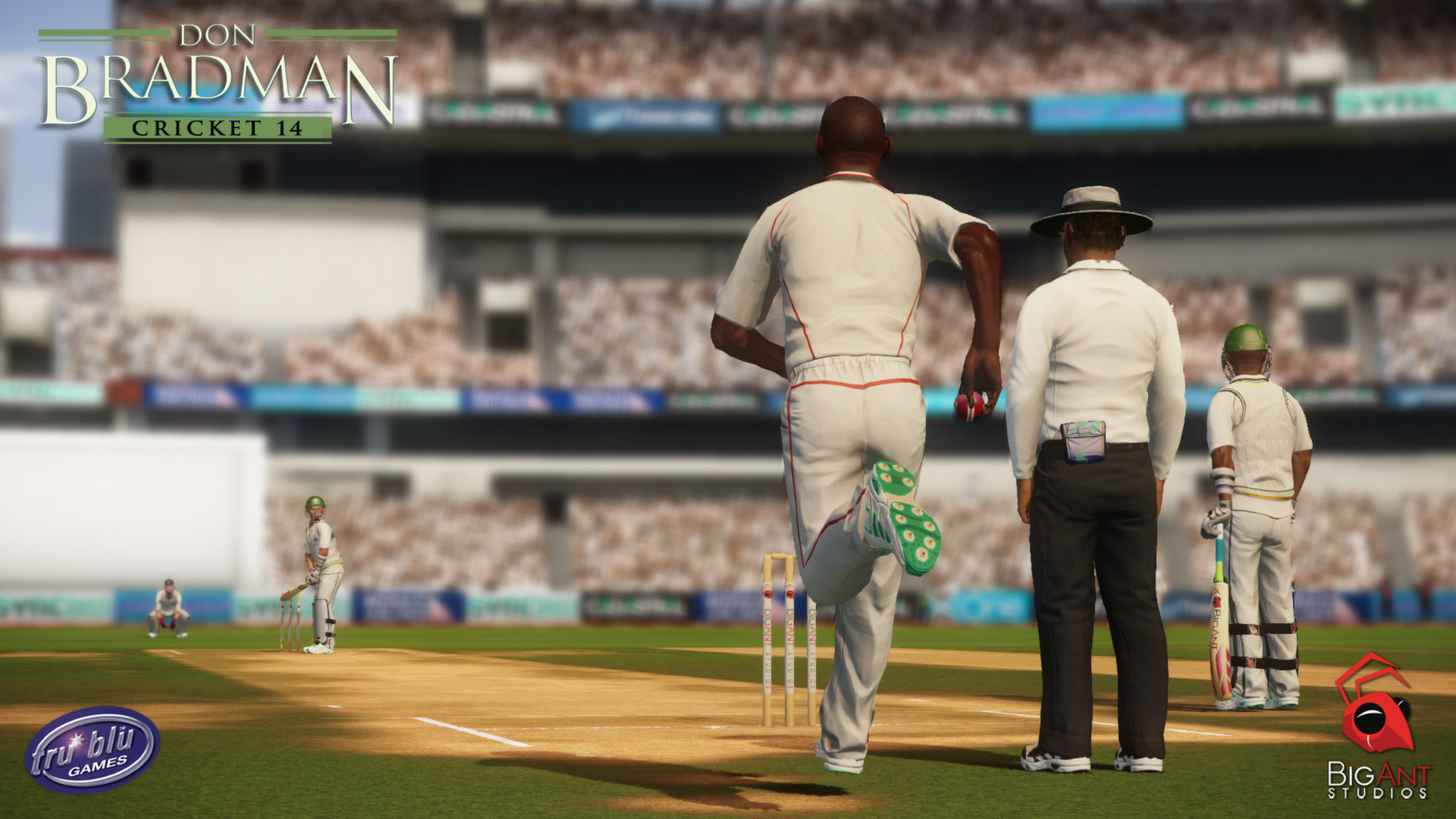 Скриншот: Don Bradman Cricket 14
