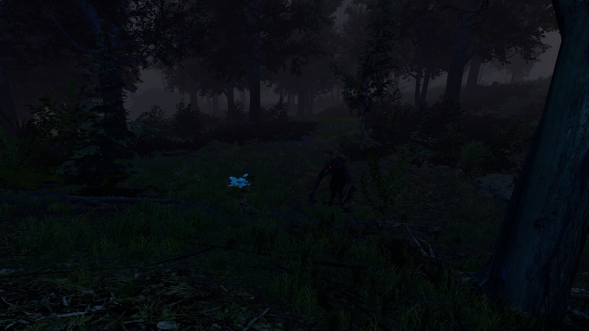 Скриншот 9: Trials of Wilderness