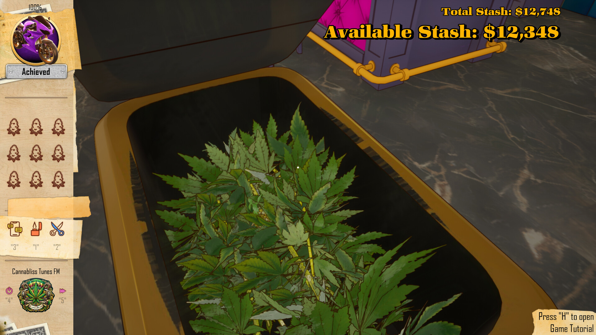 Скриншот: Trim For Your Dream