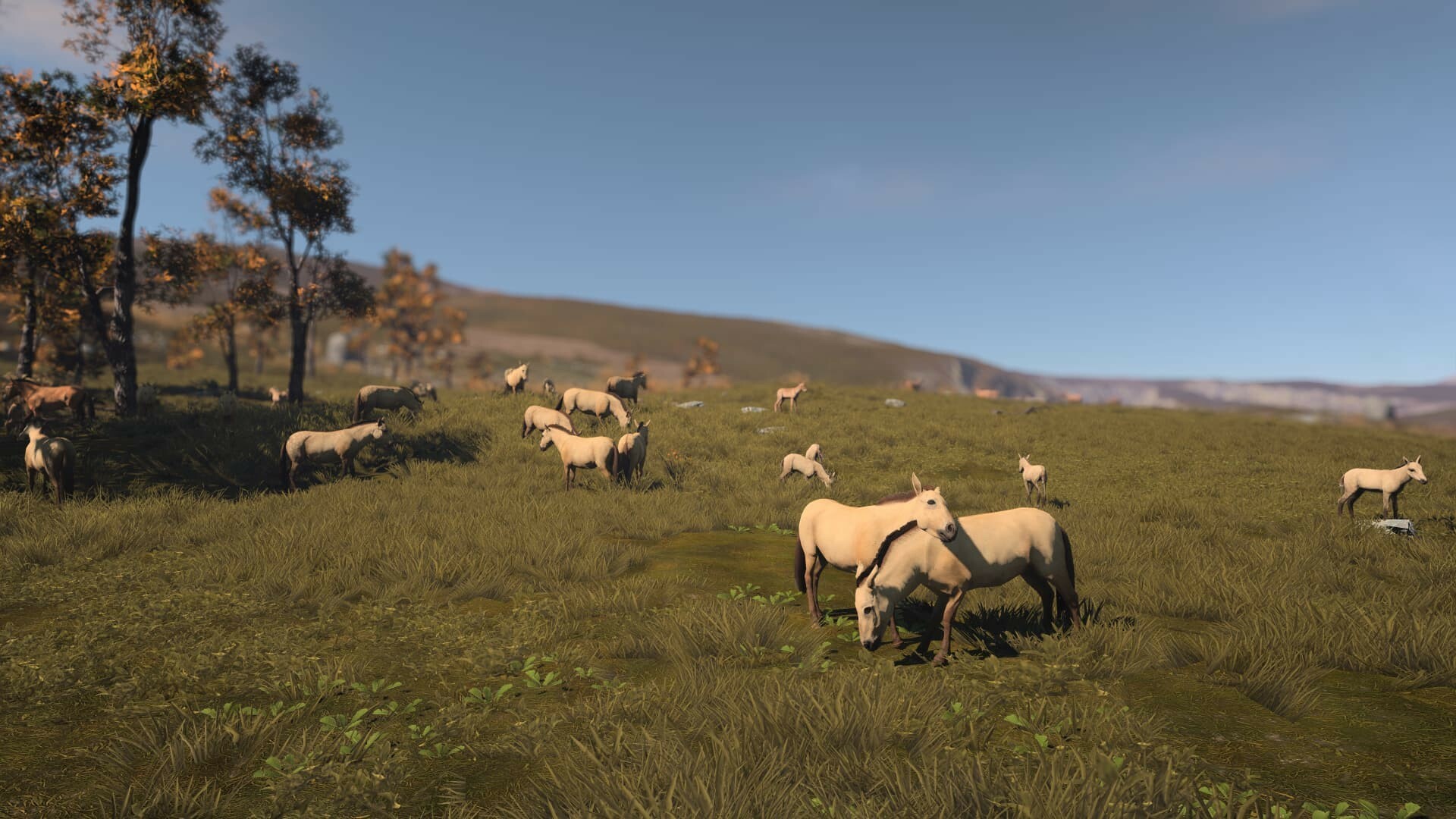 Скриншот: Ancient Cities