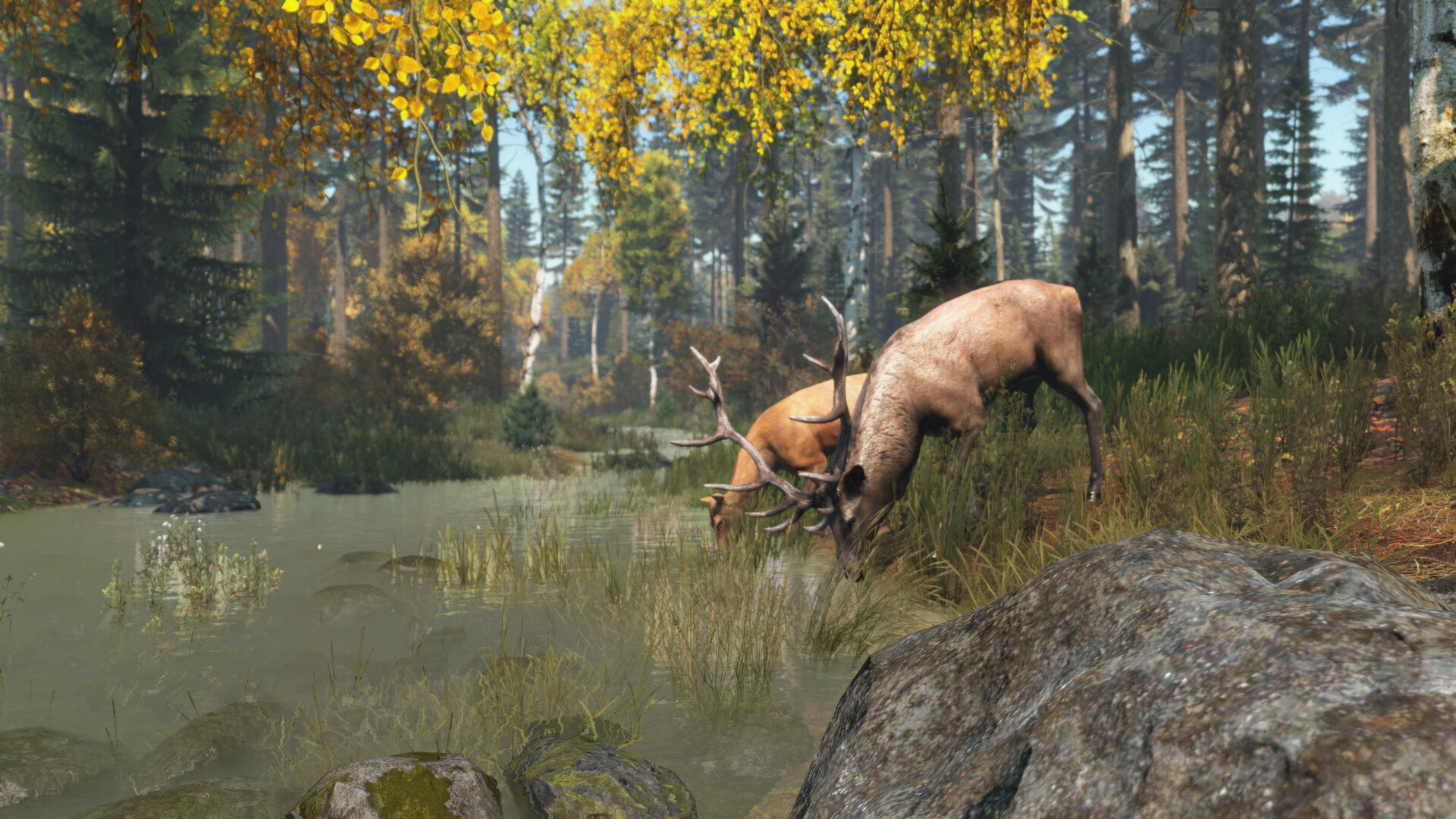 Скриншот 6: DayZ