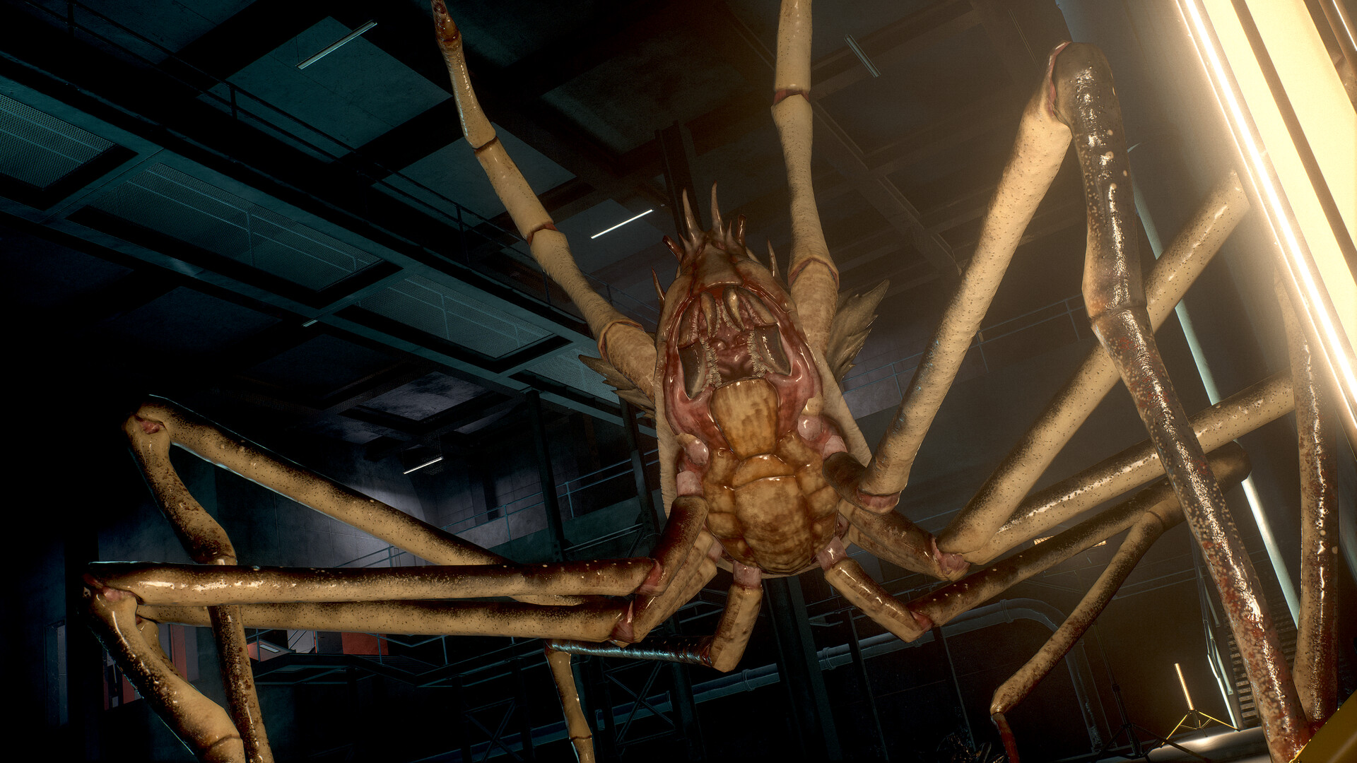 Скриншот 13: SCP: 5K