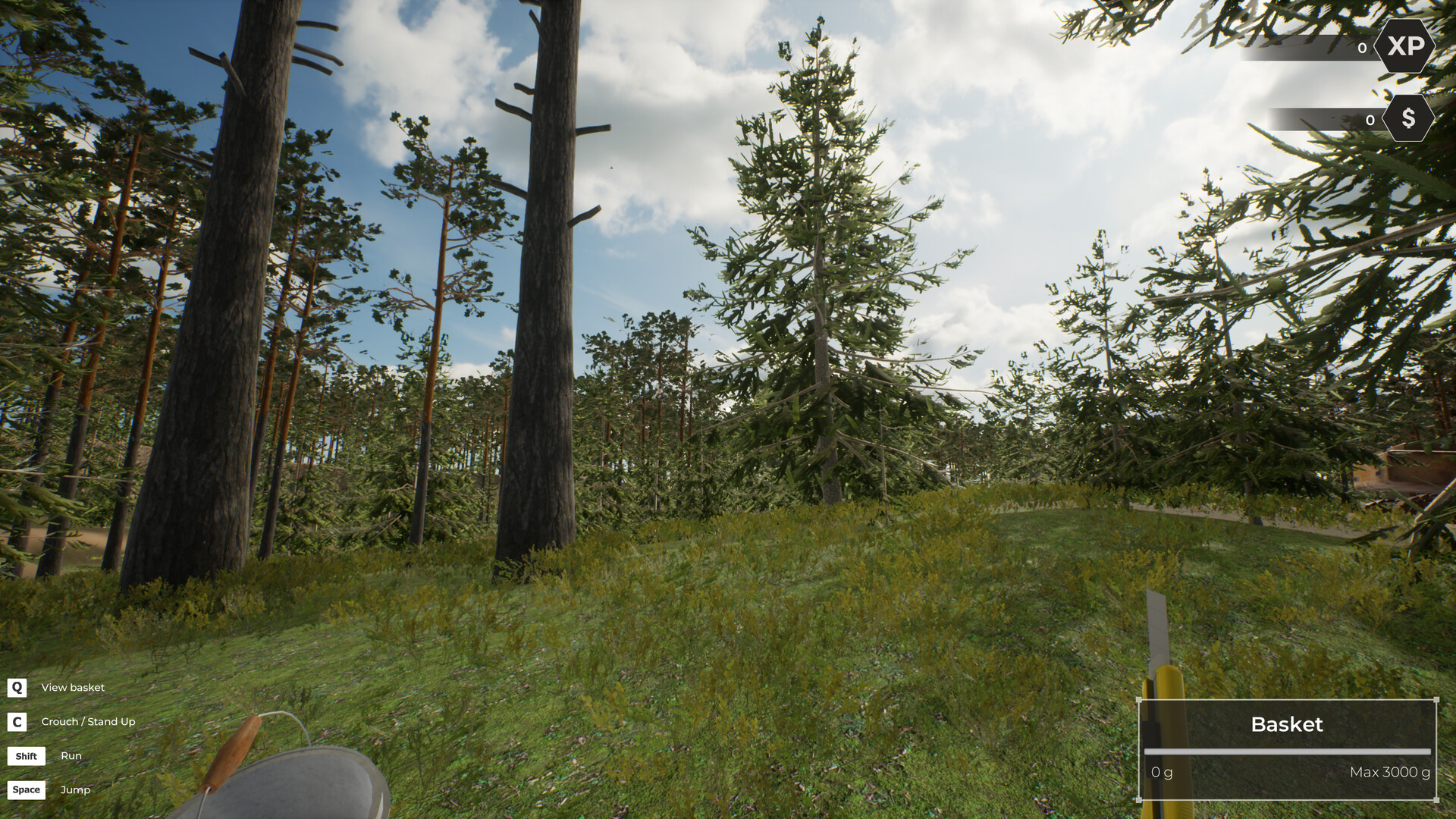 Скриншот: Mushroom Hunter World