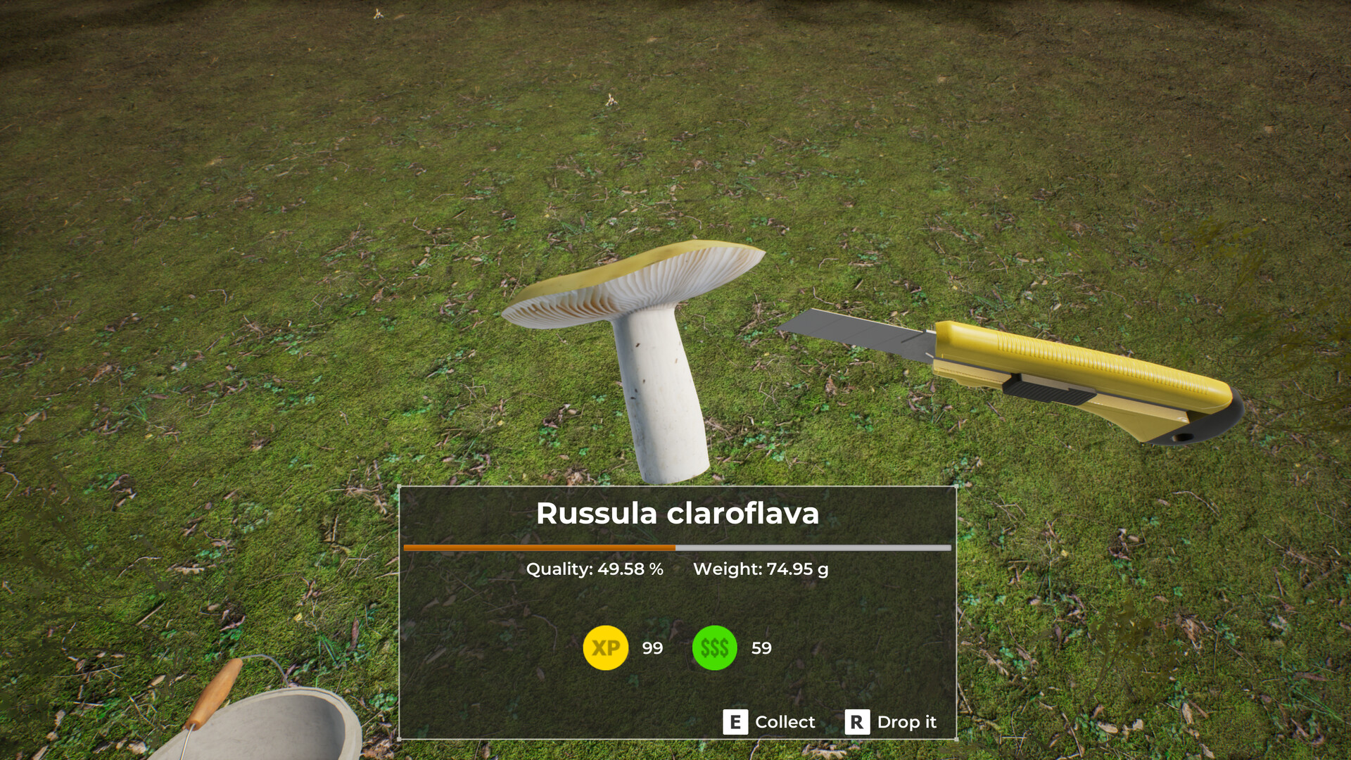 Скриншот 6: Mushroom Hunter World