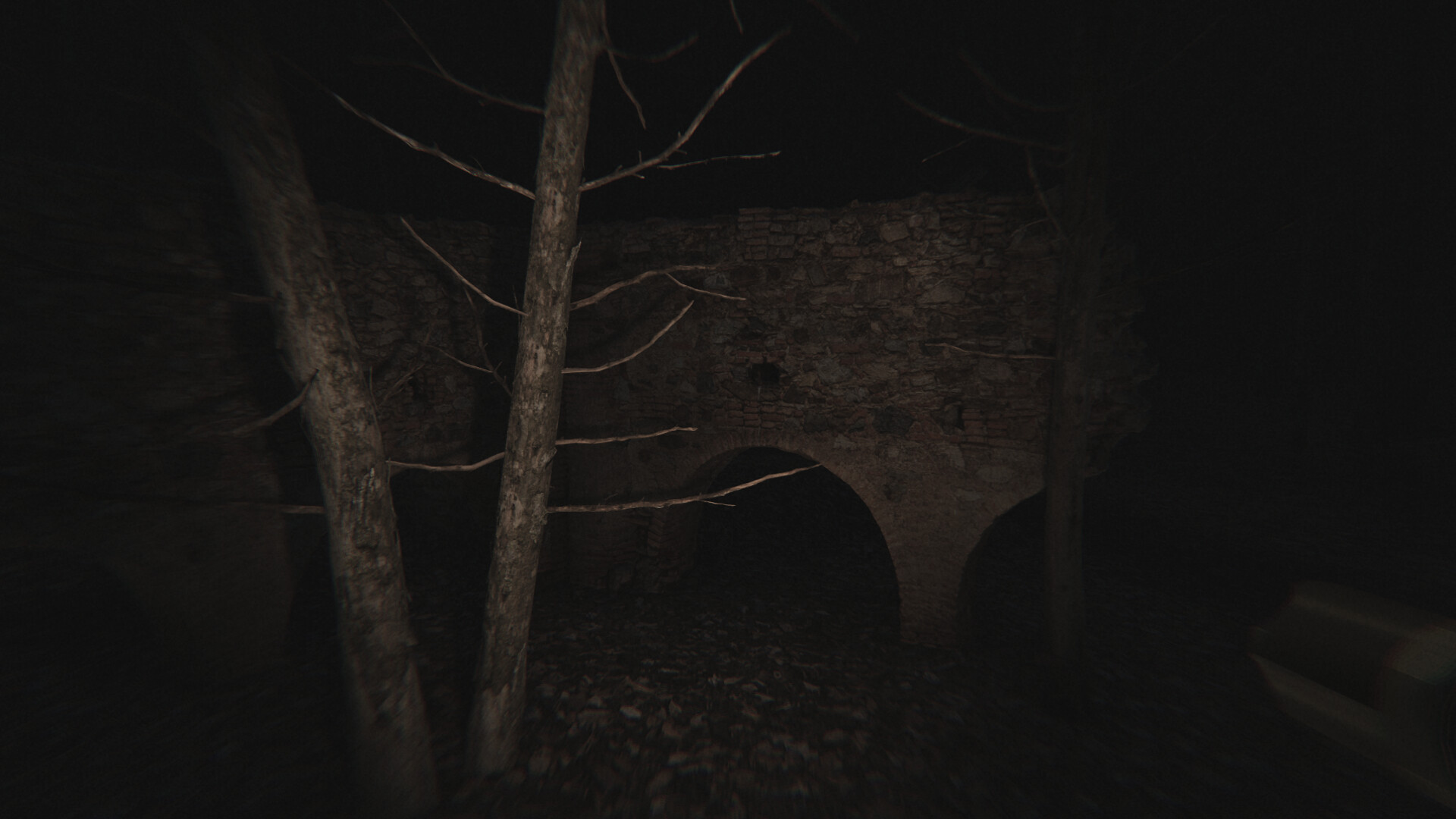 Скриншот 10: Dead Silence - Echoes of the Damned