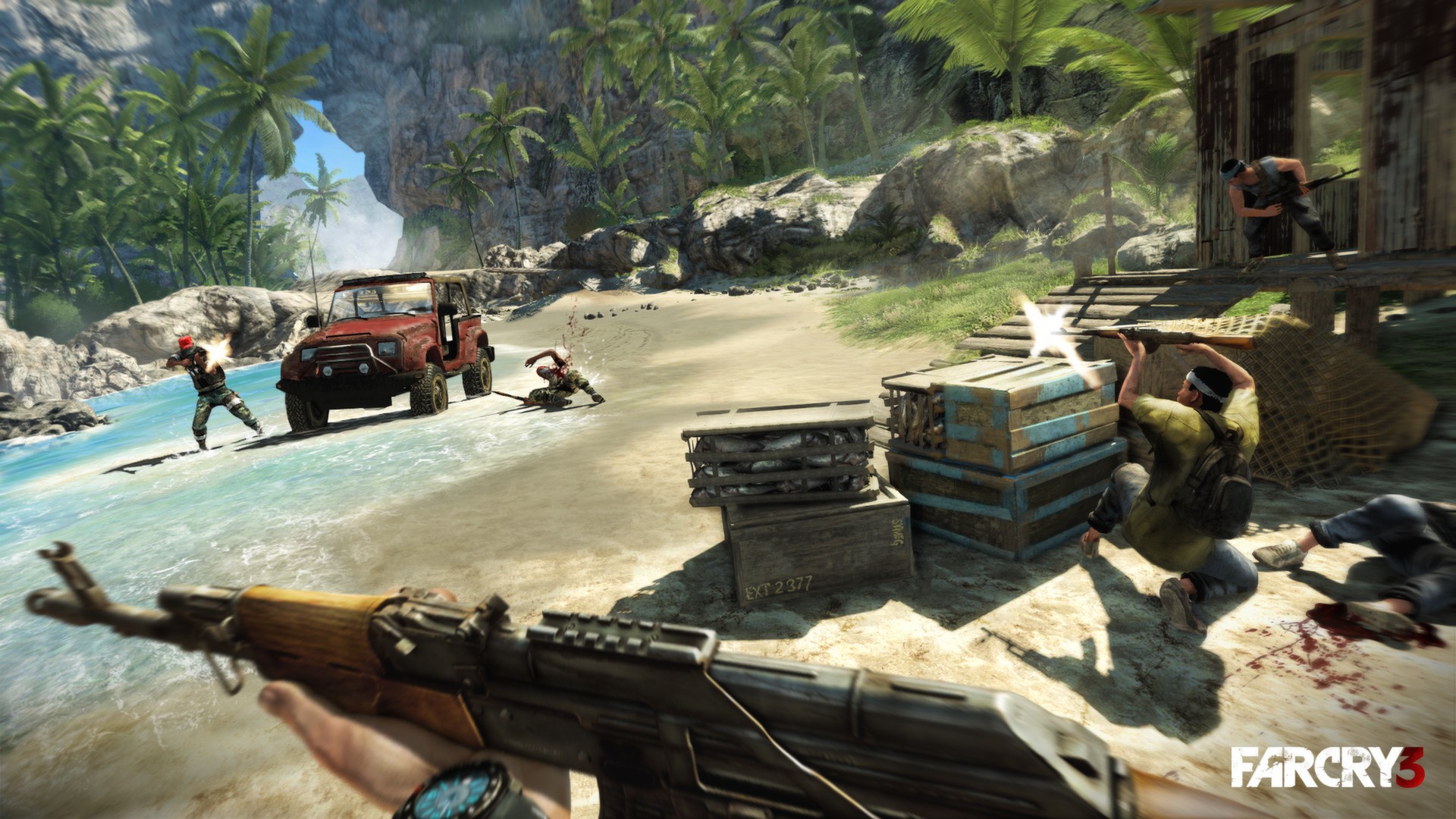 Скриншот 17: Far Cry 3