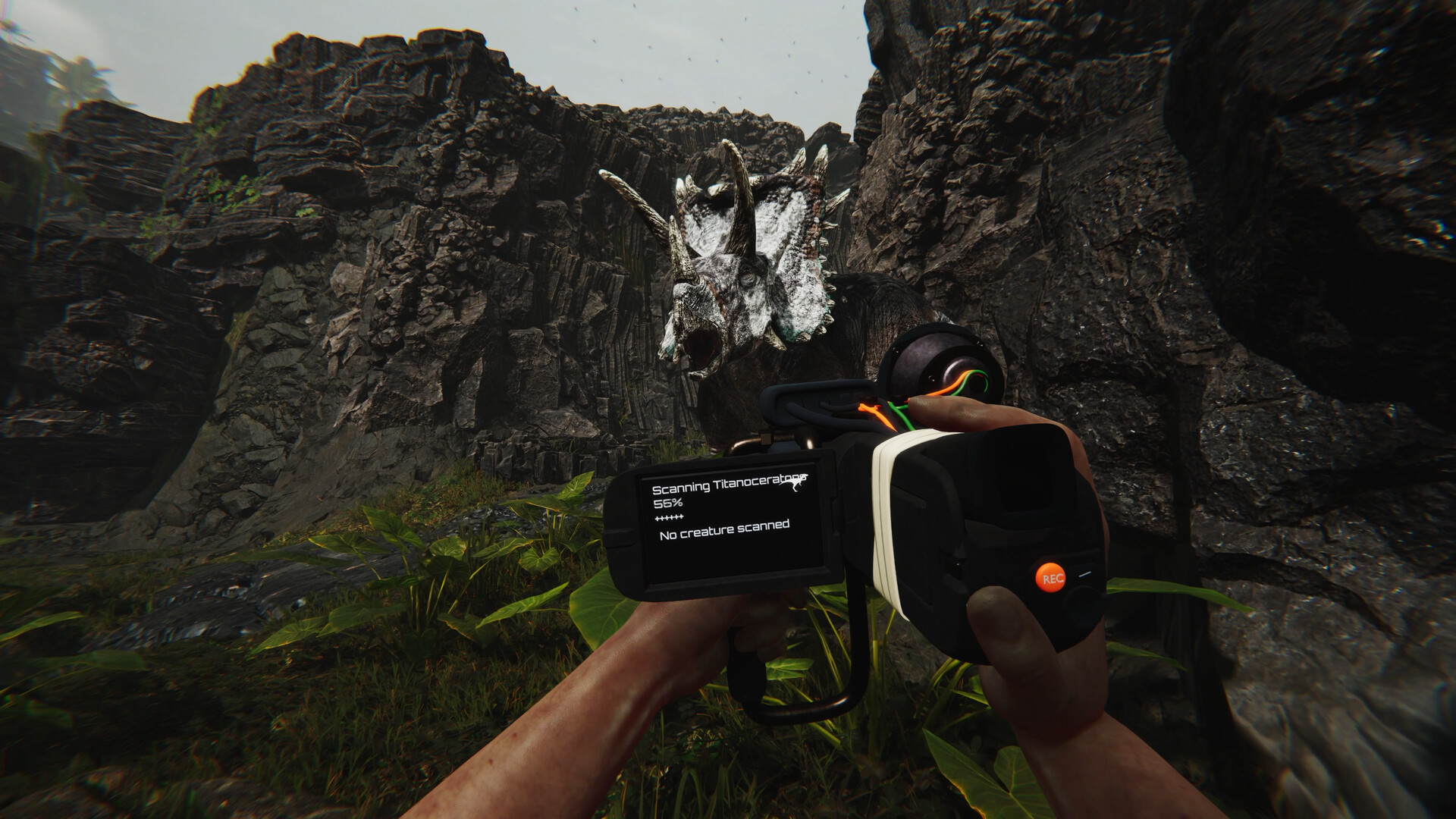 Скриншот: FEROCIOUS