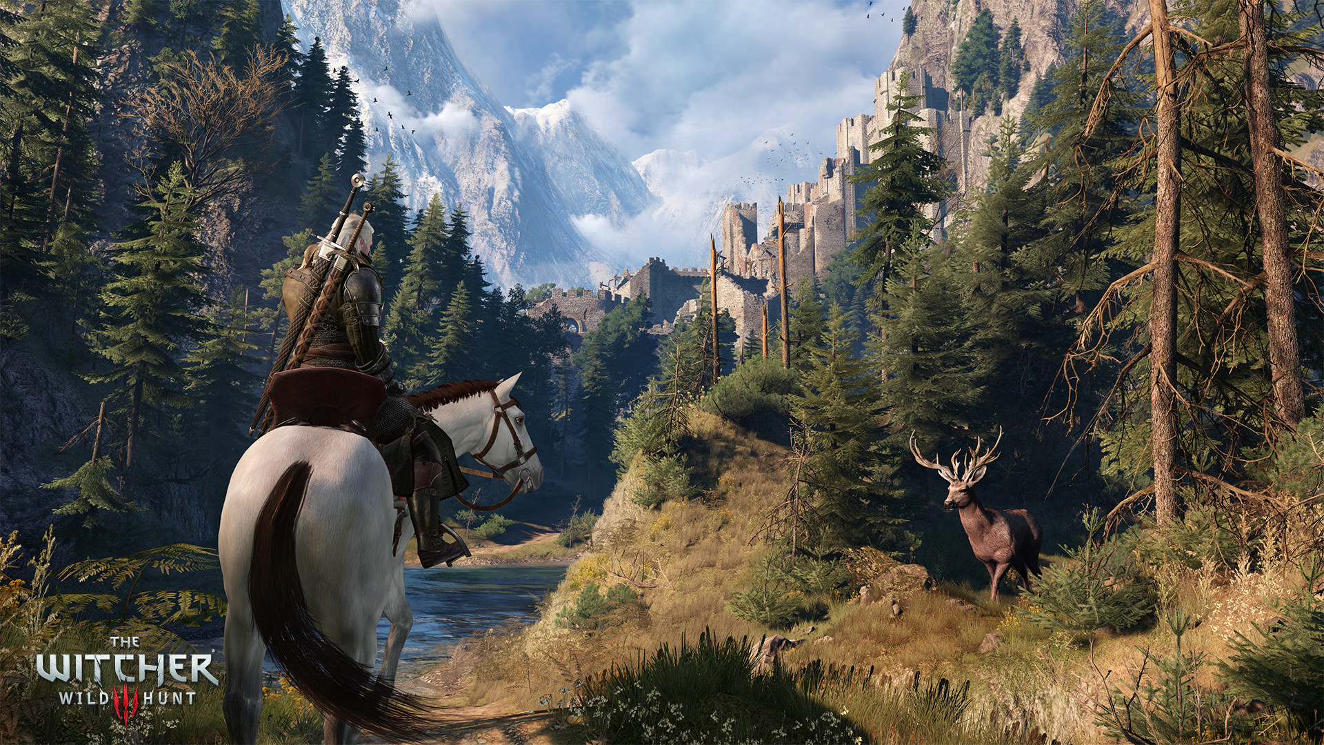 Скриншот 17: The Witcher 3: Wild Hunt