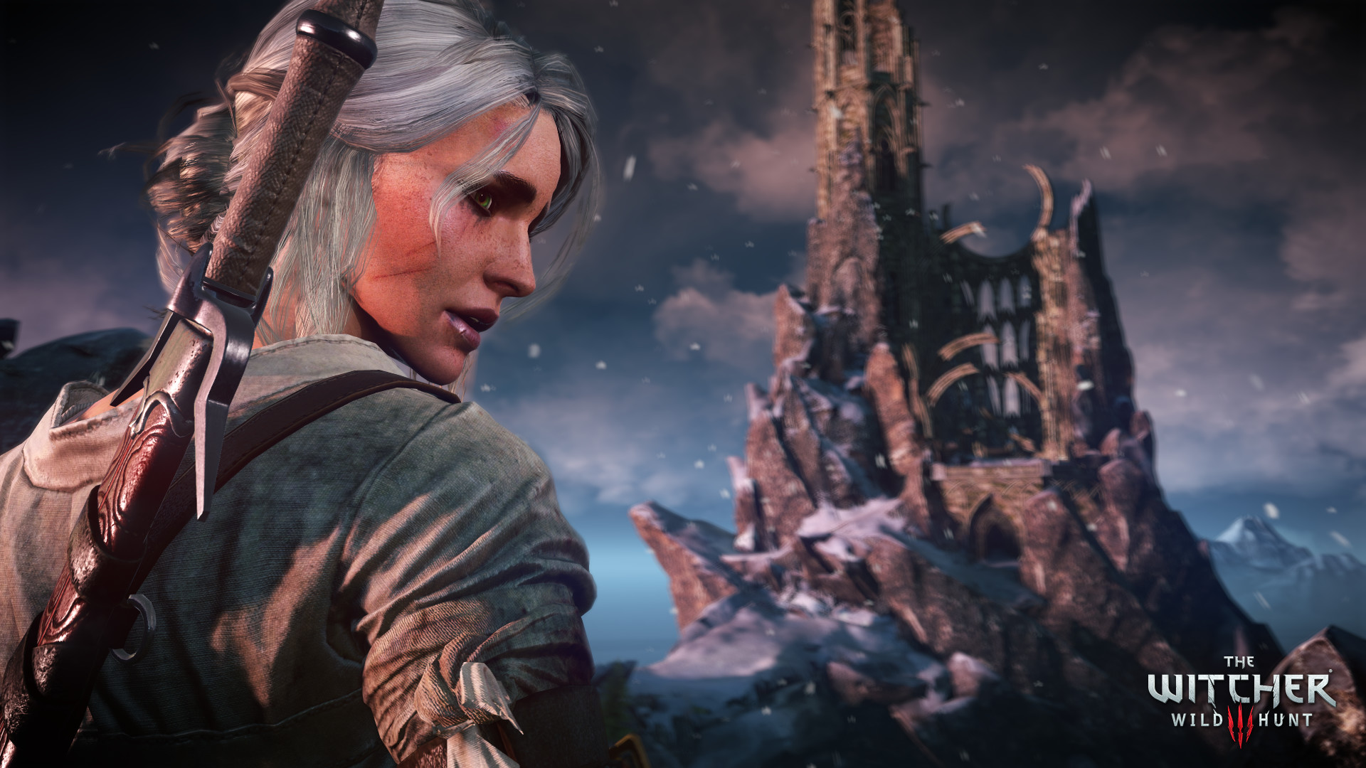 Скриншот 9: The Witcher 3: Wild Hunt