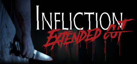 Обложка: Infliction