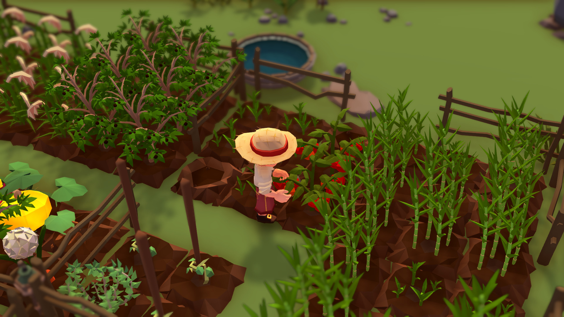 Скриншот: Stranded Sails - Explorers of the Cursed Islands