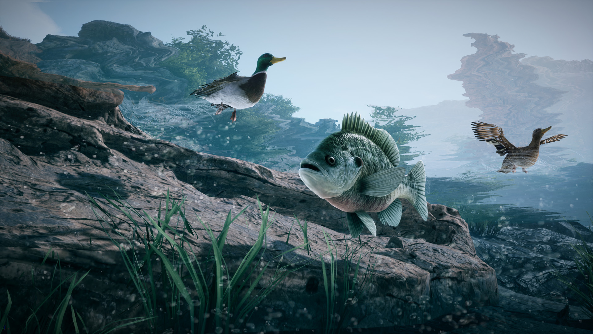 Скриншот 13: Outlaws of the Old West