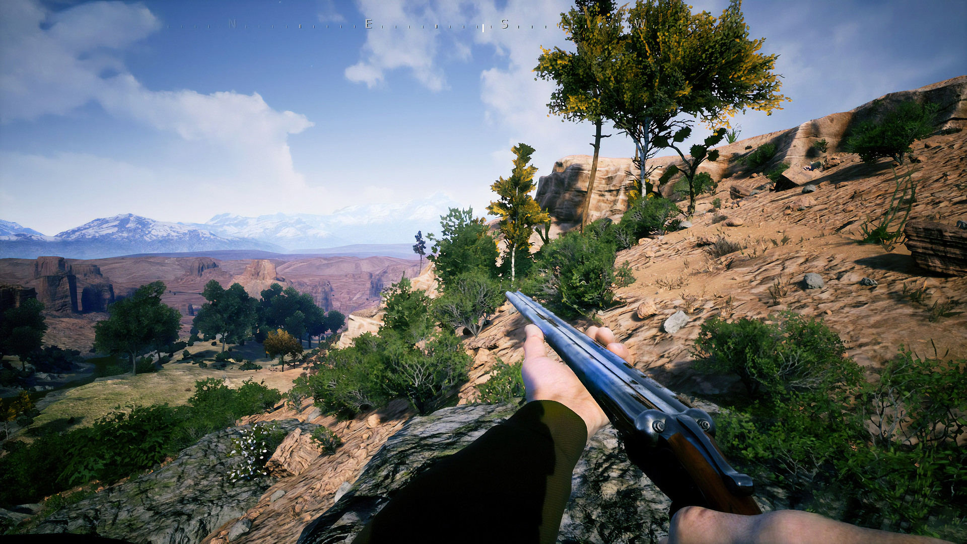 Скриншот 14: Outlaws of the Old West