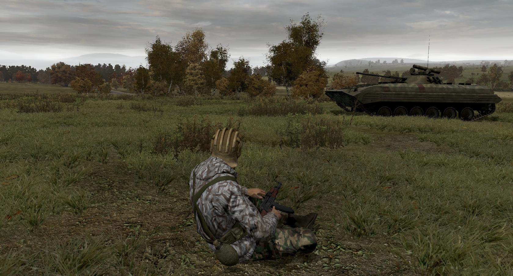 Скриншот 18: Arma 2