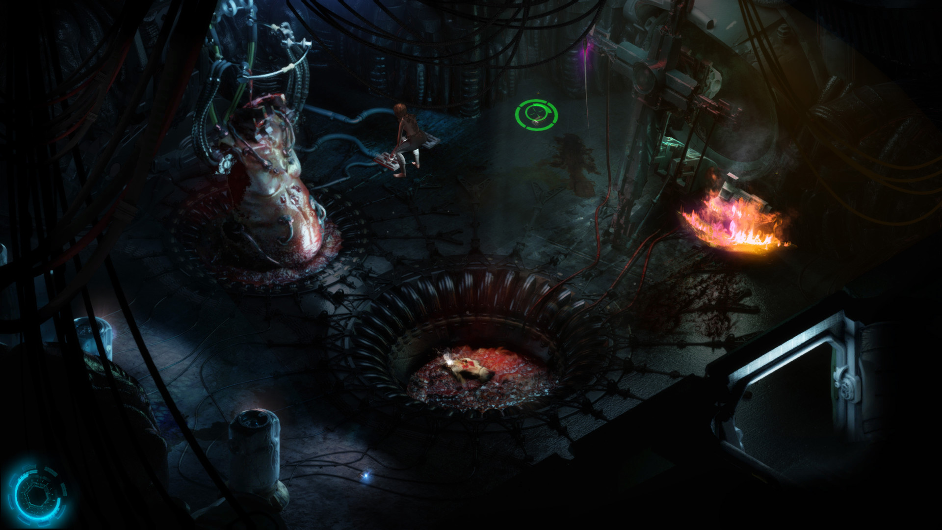 Скриншот: CAYNE