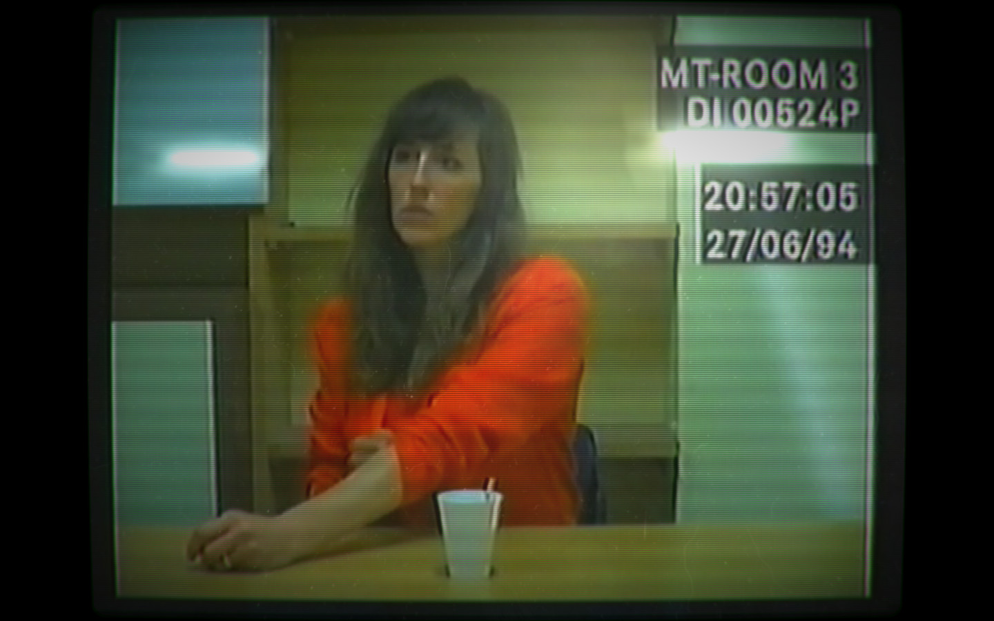 Скриншот: Her Story