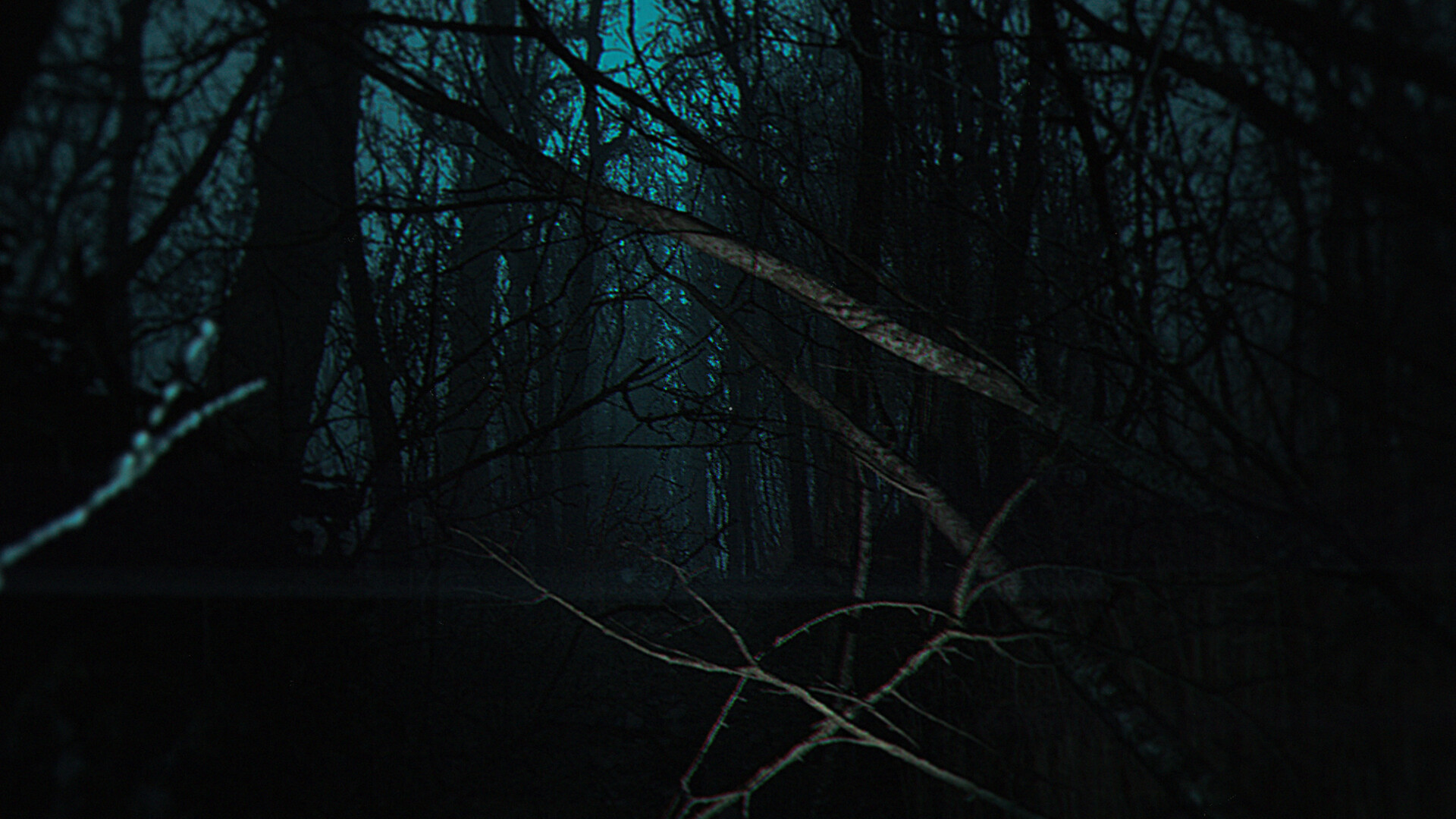 Скриншот 9: The Strange Lights