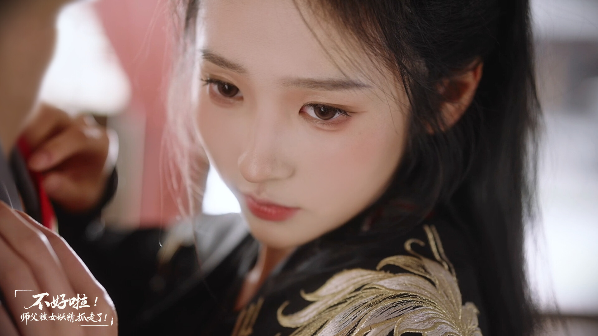 Скриншот: SIFU Kidnapped! Adventure in the Women's Kingdom