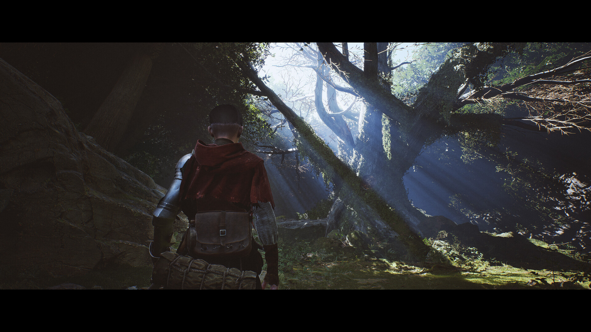 Скриншот: 1348 Ex Voto