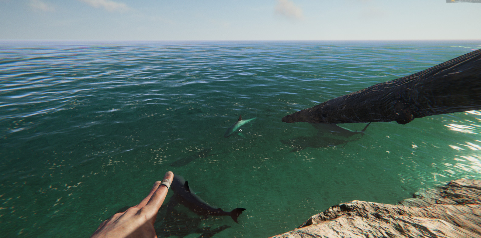 Скриншот 7: Project Castaway