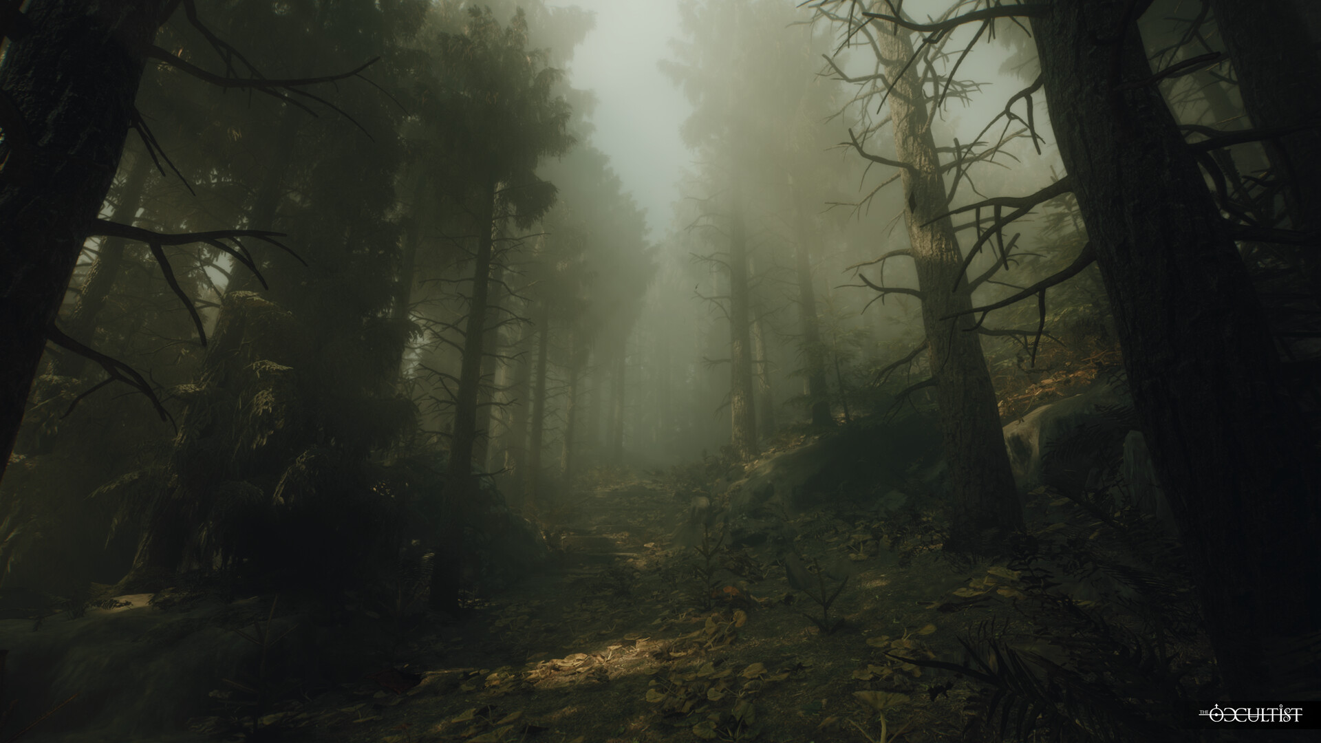 Скриншот: The Occultist