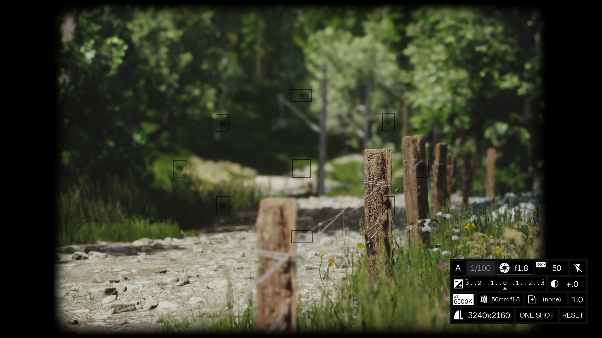 Скриншот: Lushfoil Photography Sim