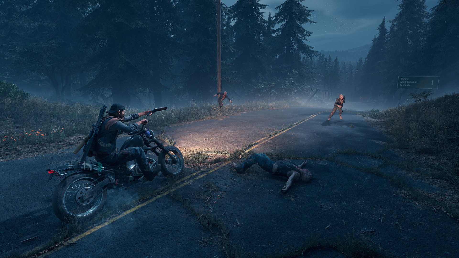Скриншот 7: Days Gone