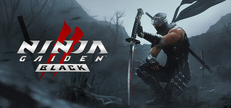 Обложка: NINJA GAIDEN 2 Black