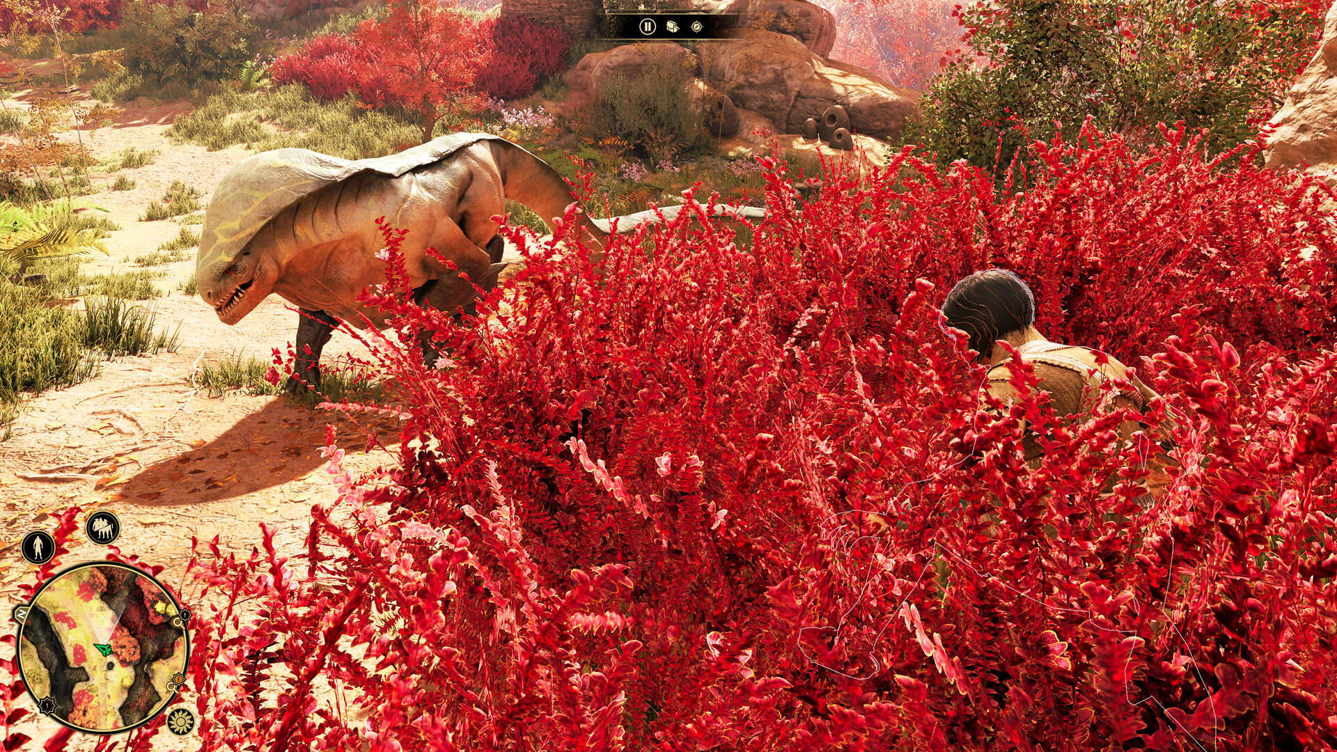 Скриншот: GreedFall: The Dying World