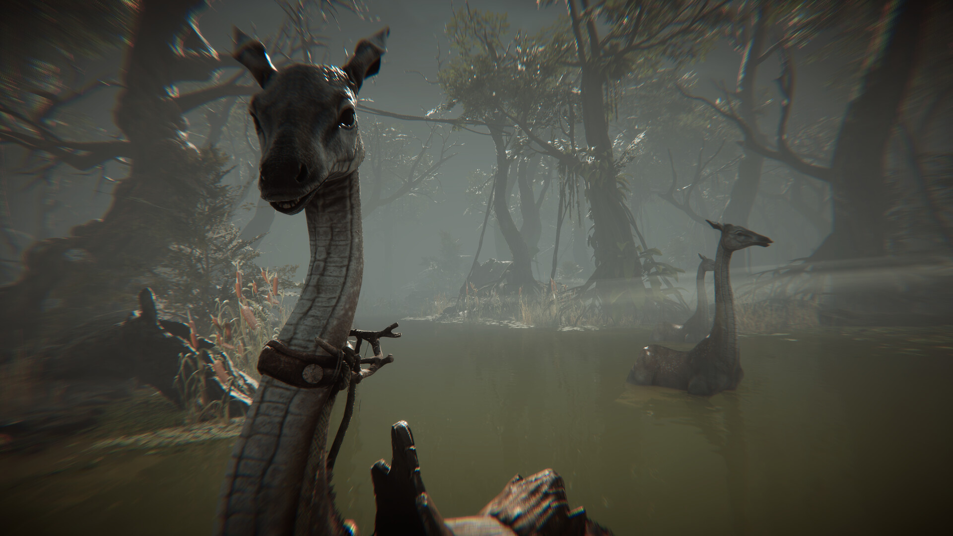 Скриншот: Amerzone - The Explorer's Legacy