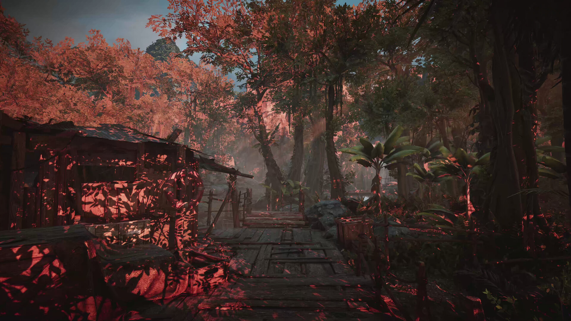 Скриншот 8: Amerzone - The Explorer's Legacy