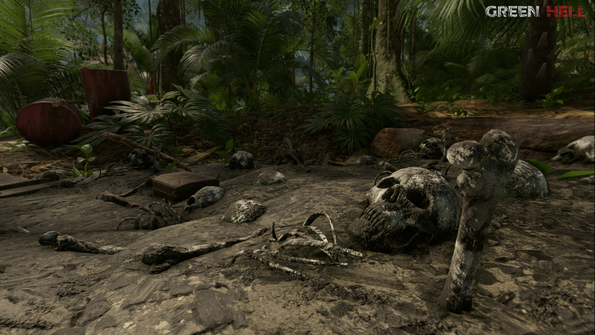 Скриншот 27: Green Hell